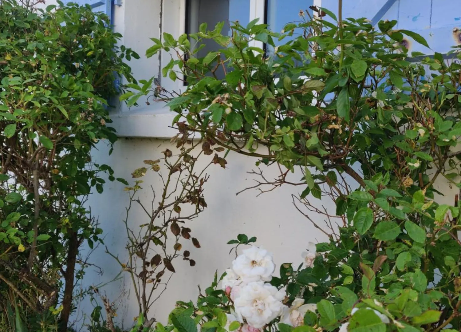 Σπίτι διακοπών Maison Familiale La Cachottiere Arradon